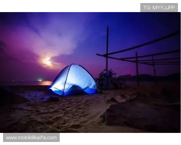 分析K8捕鱼游戏中的不同捕鱼模式，选择最适合你的玩法策略