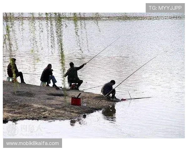 当然可以，以下是关于“pa捕鱼”的拓展标题，符合您的要求：