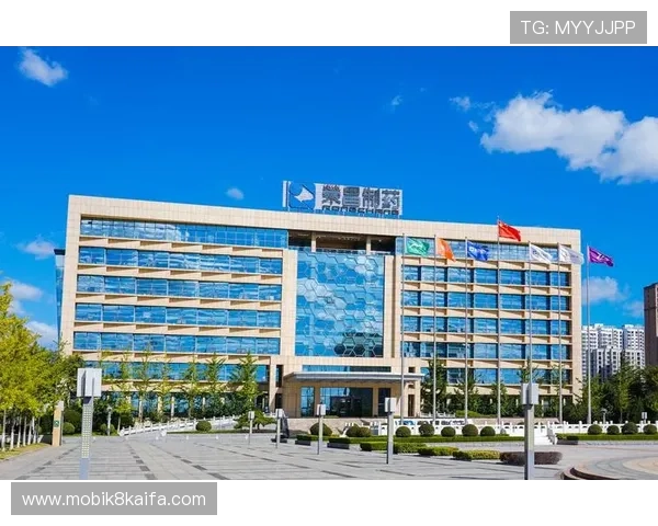 凯发K8国际开户常见问题解答及快速解决方案推荐